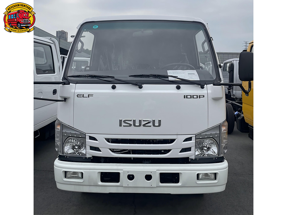 100P (NP11C)