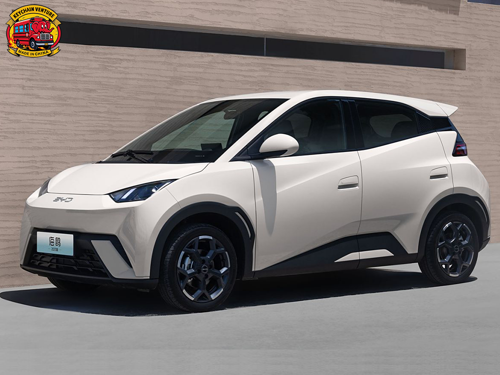 BYD Чайка